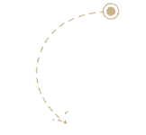 root